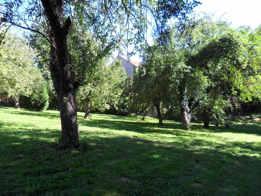 A L'Aube Des Volcans Charbonnieres-les-Vieilles Exterior photo